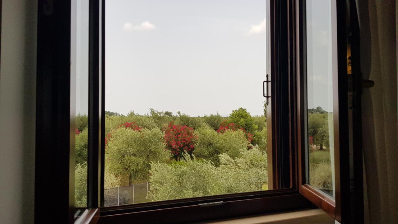 Il Casale Degli Ulivi - Agriturismo - Tenimenti Leone Lanuvio Exterior photo