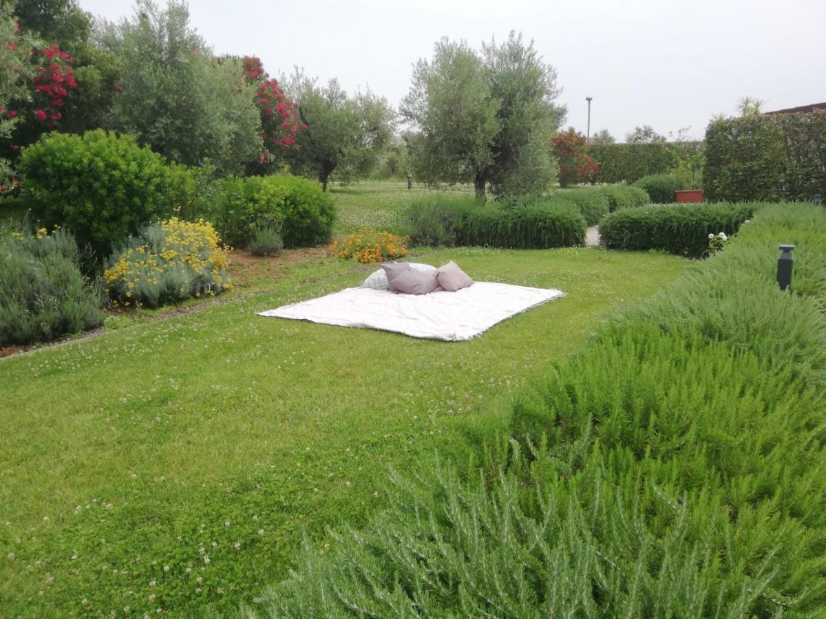Il Casale Degli Ulivi - Agriturismo - Tenimenti Leone Lanuvio Exterior photo