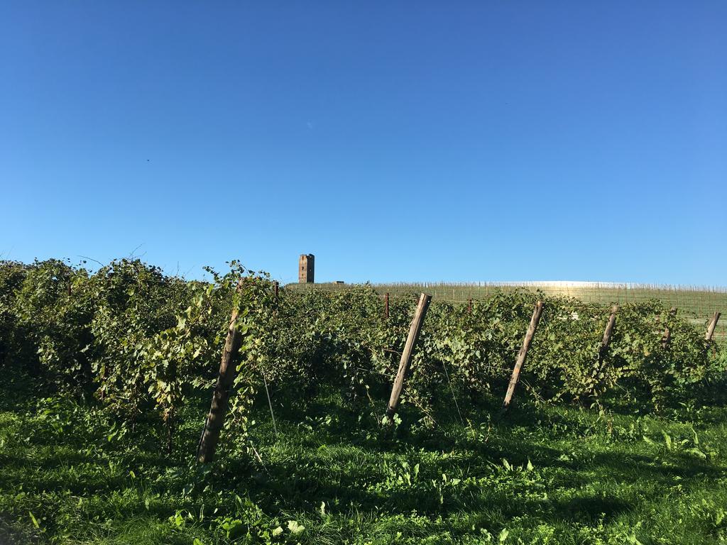 Il Casale Degli Ulivi - Agriturismo - Tenimenti Leone Lanuvio Exterior photo